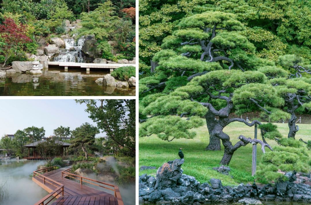 伦敦·泰晤士河一号 Thames City 配套