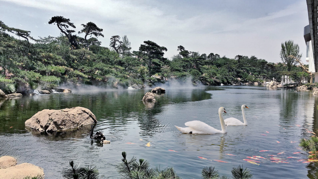 伦敦·泰晤士河一号 Thames City 配套