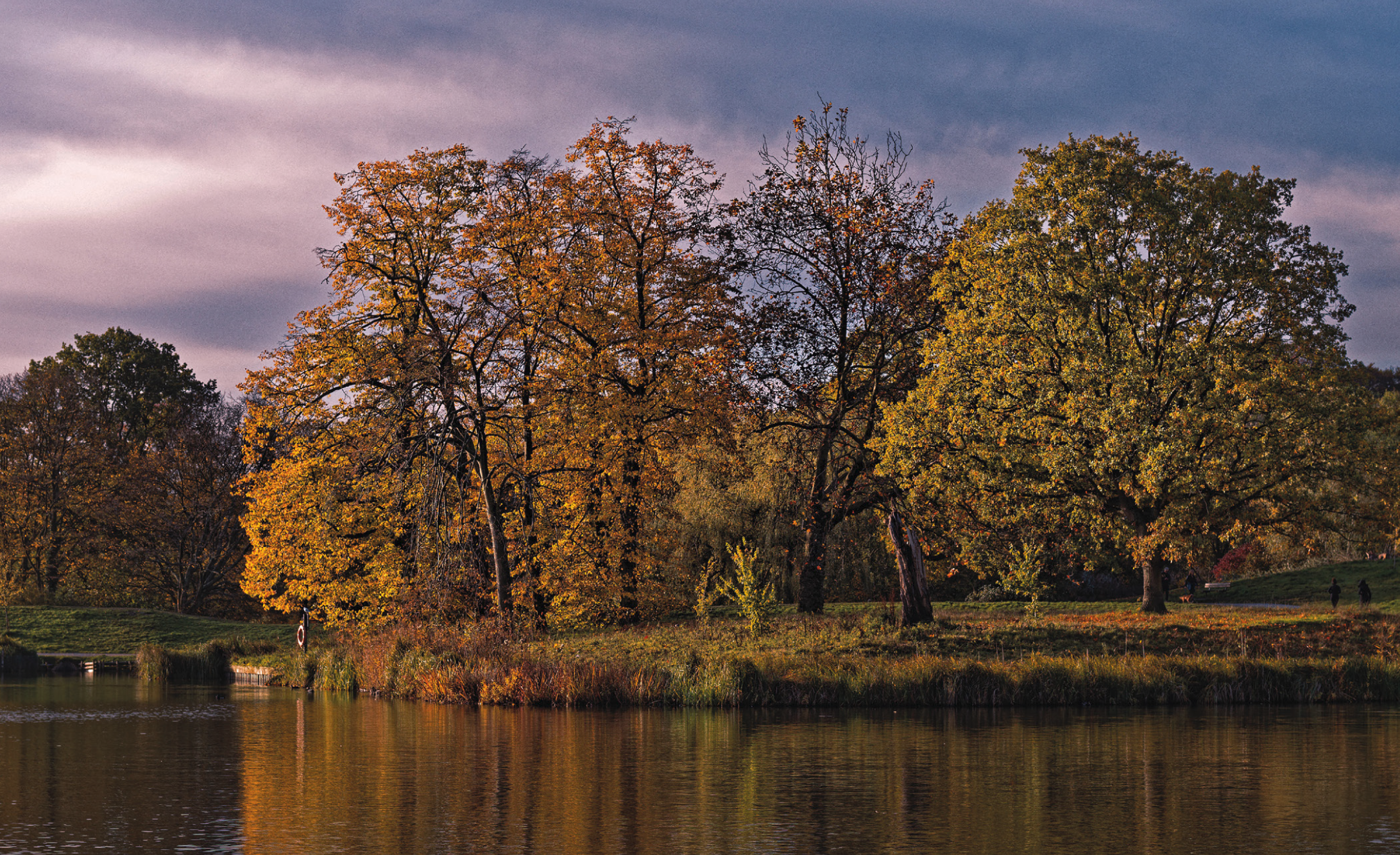 藍莎集團 | 英國置產一站式服務