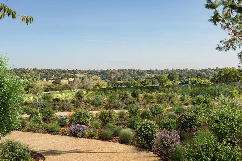 藍莎集團 - 英國樓盤、英國物業代理 | 英國買樓置業一站式服務