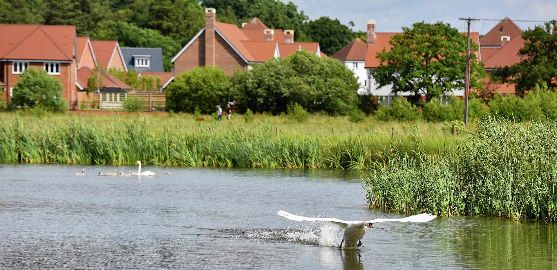藍莎集團 - 英國樓盤、英國物業代理 | 英國買樓置業一站式服務