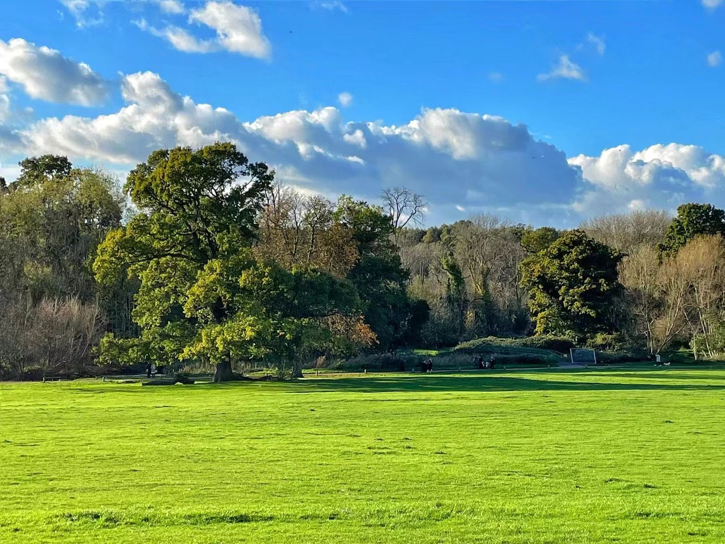 藍莎集團 - 英國樓盤、英國物業代理 | 英國買樓置業一站式服務