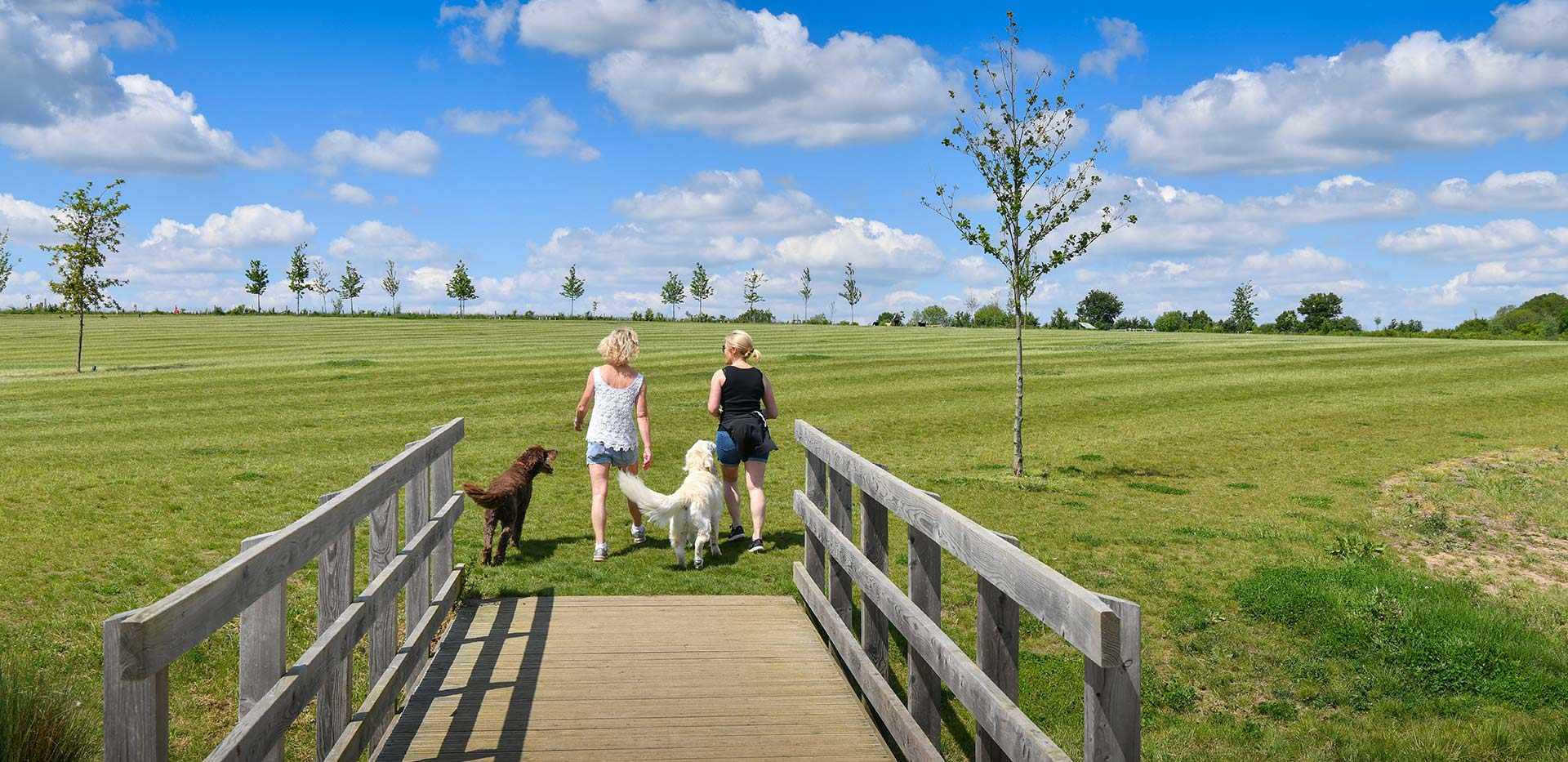 藍莎集團 - 英國樓盤、英國物業代理 | 英國買樓置業一站式服務