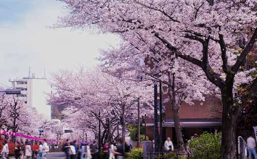 东京·早稻和苑 配套