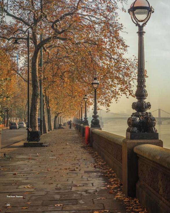 藍莎集團 | 英國置產一站式服務