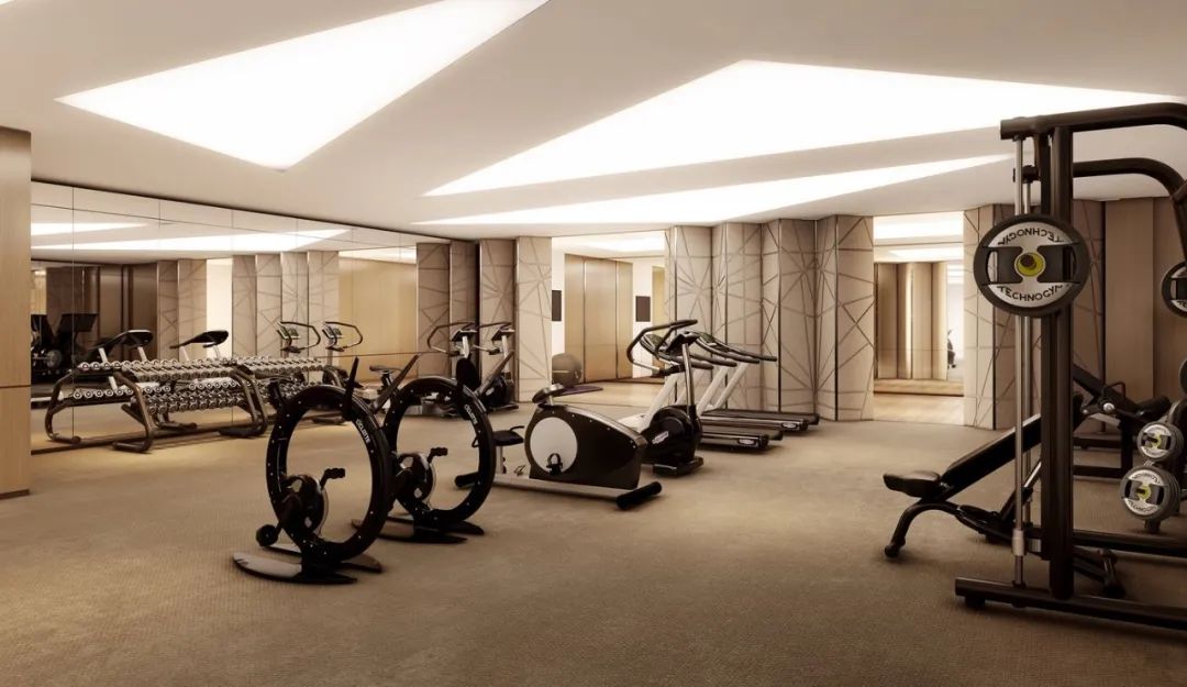 伦敦·布莱恩斯顿豪庭 The Bryanston 配套