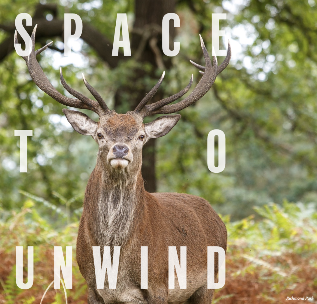 藍莎集團 - 英國樓盤、英國物業代理 | 英國買樓置業一站式服務