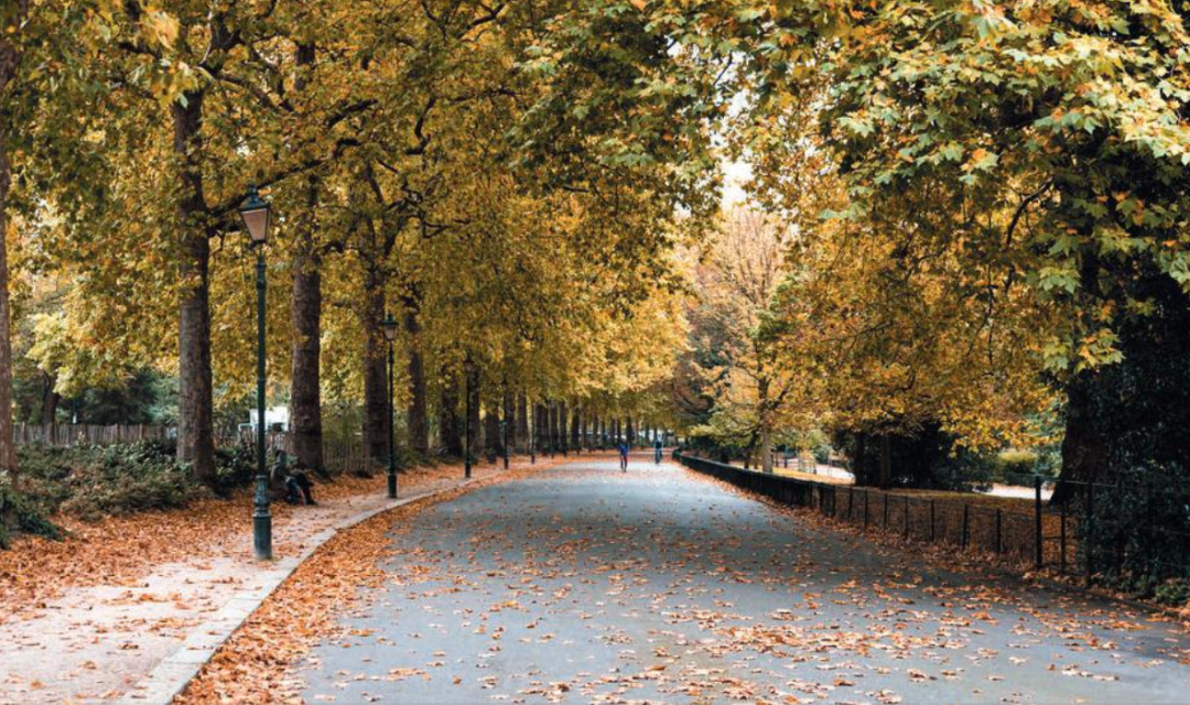 伦敦·查特菲尔德河畔 Chatfield Riverside 配套