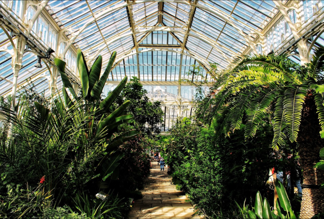 伦敦·Bookbinder Point 配套