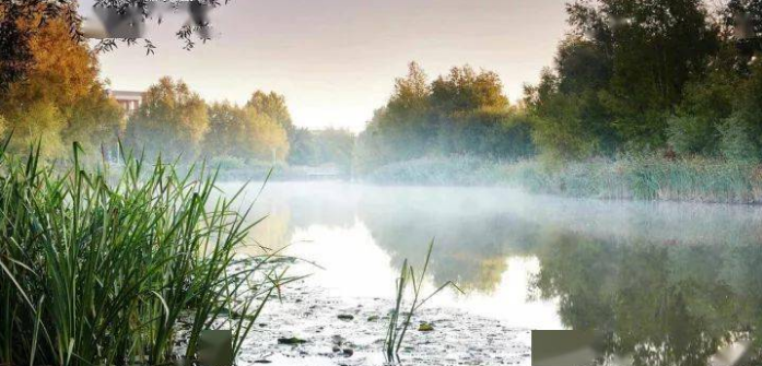 藍莎集團 - 英國樓盤、英國物業代理 | 英國買樓置業一站式服務