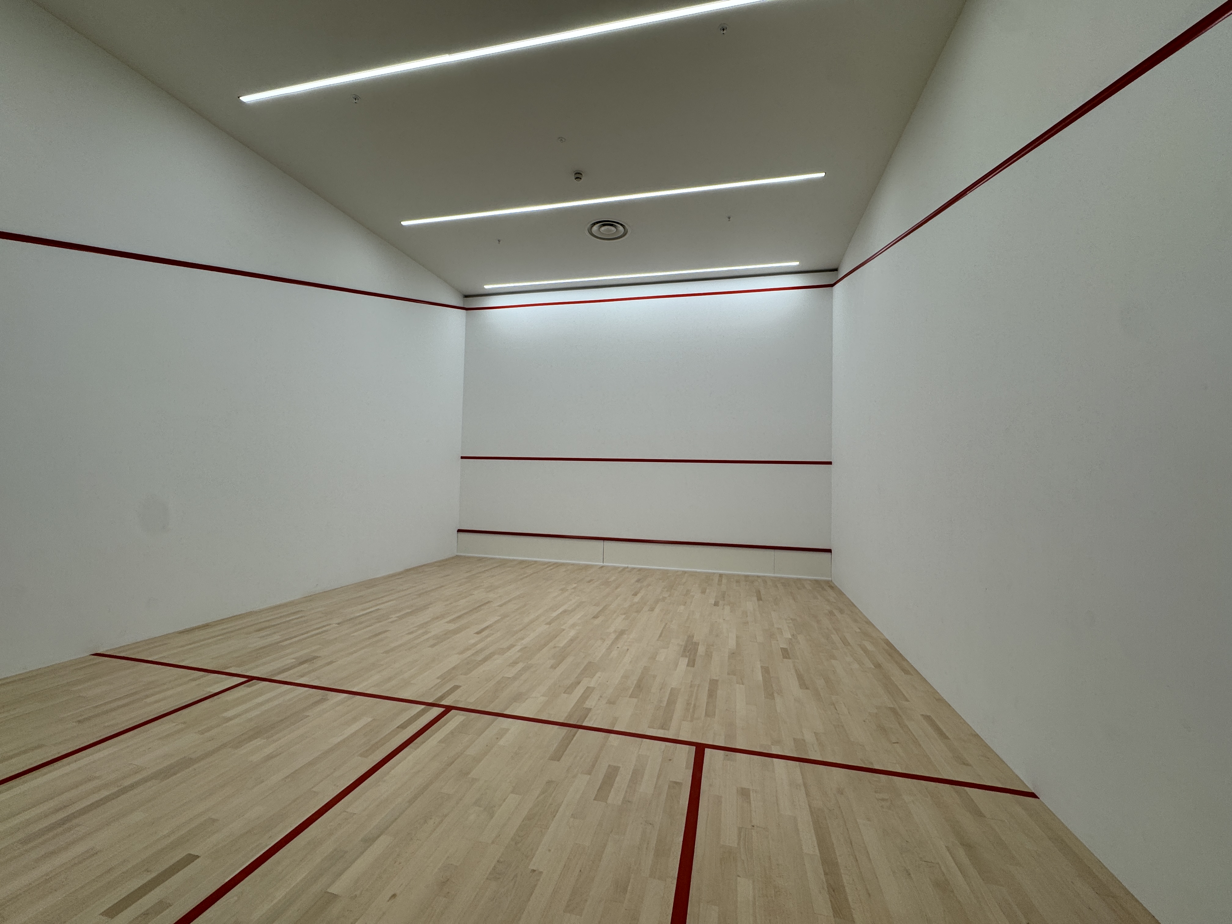 曼彻斯特·沃德豪斯花园 Waterhouse Gardens 配套