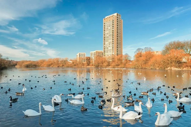 伦敦·亨登水岸 Hendon Waterside 项目配套