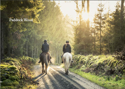 藍莎集團 - 英國樓盤、英國物業代理 | 英國買樓置業一站式服務