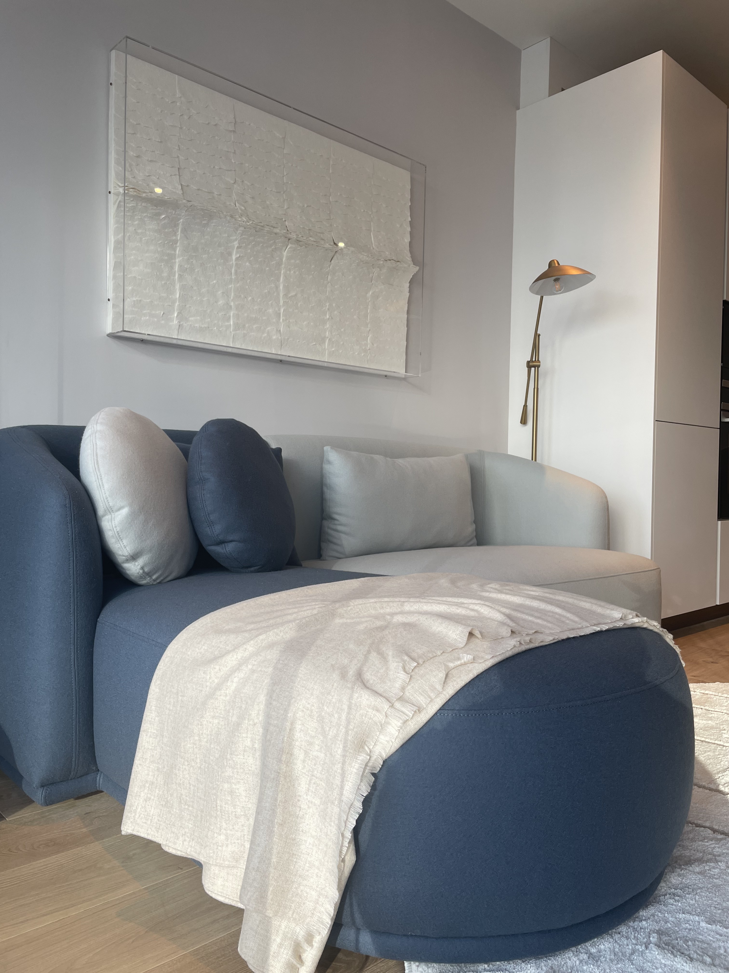 伦敦·巴特西电站 Battersea power station 找房实拍