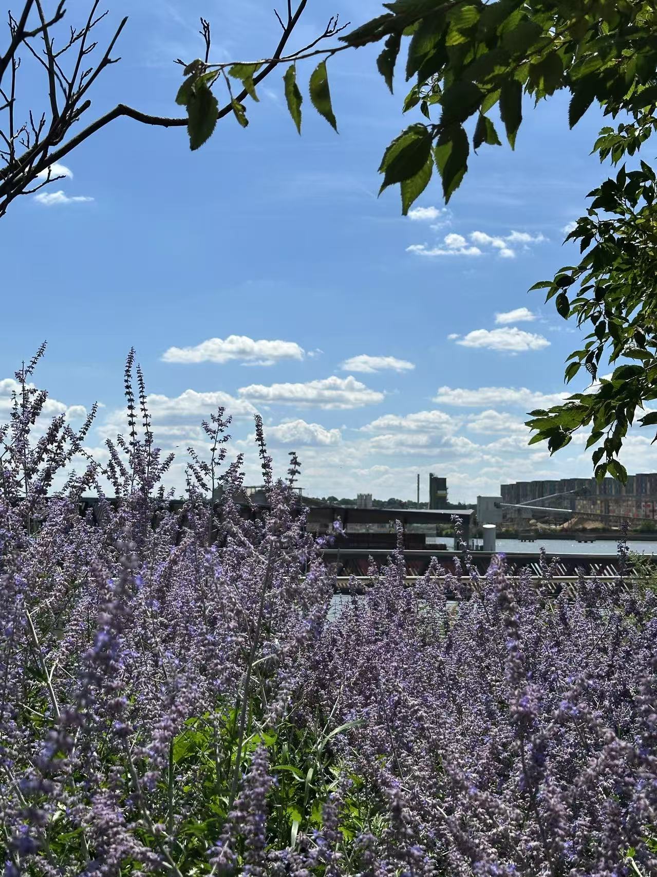 藍莎集團 - 英國樓盤、英國物業代理 | 英國買樓置業一站式服務