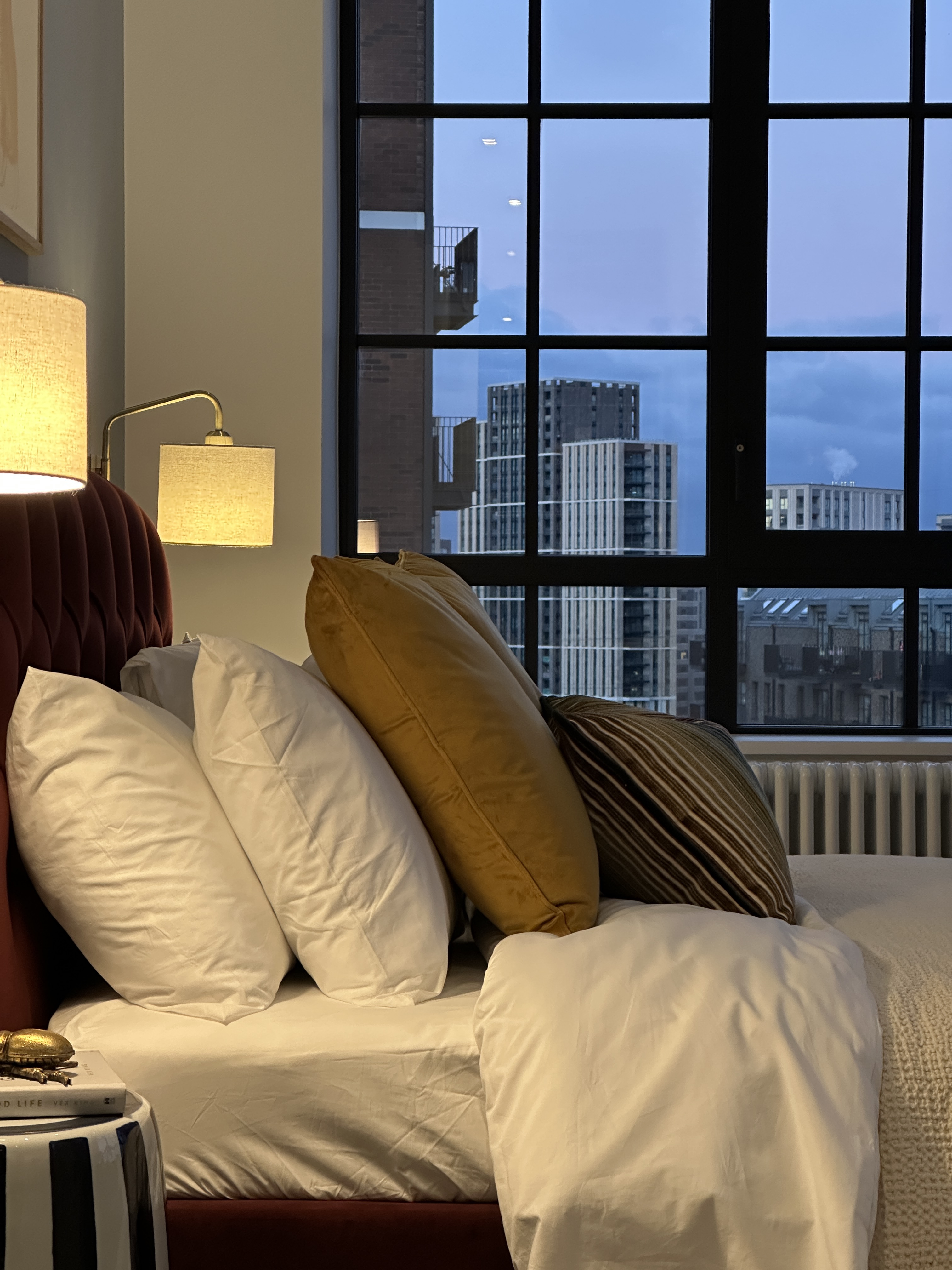 伦敦·好运岛 Goodluck Hope 找房实拍