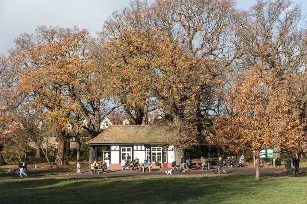 藍莎集團 - 英國樓盤、英國物業代理 | 英國買樓置業一站式服務