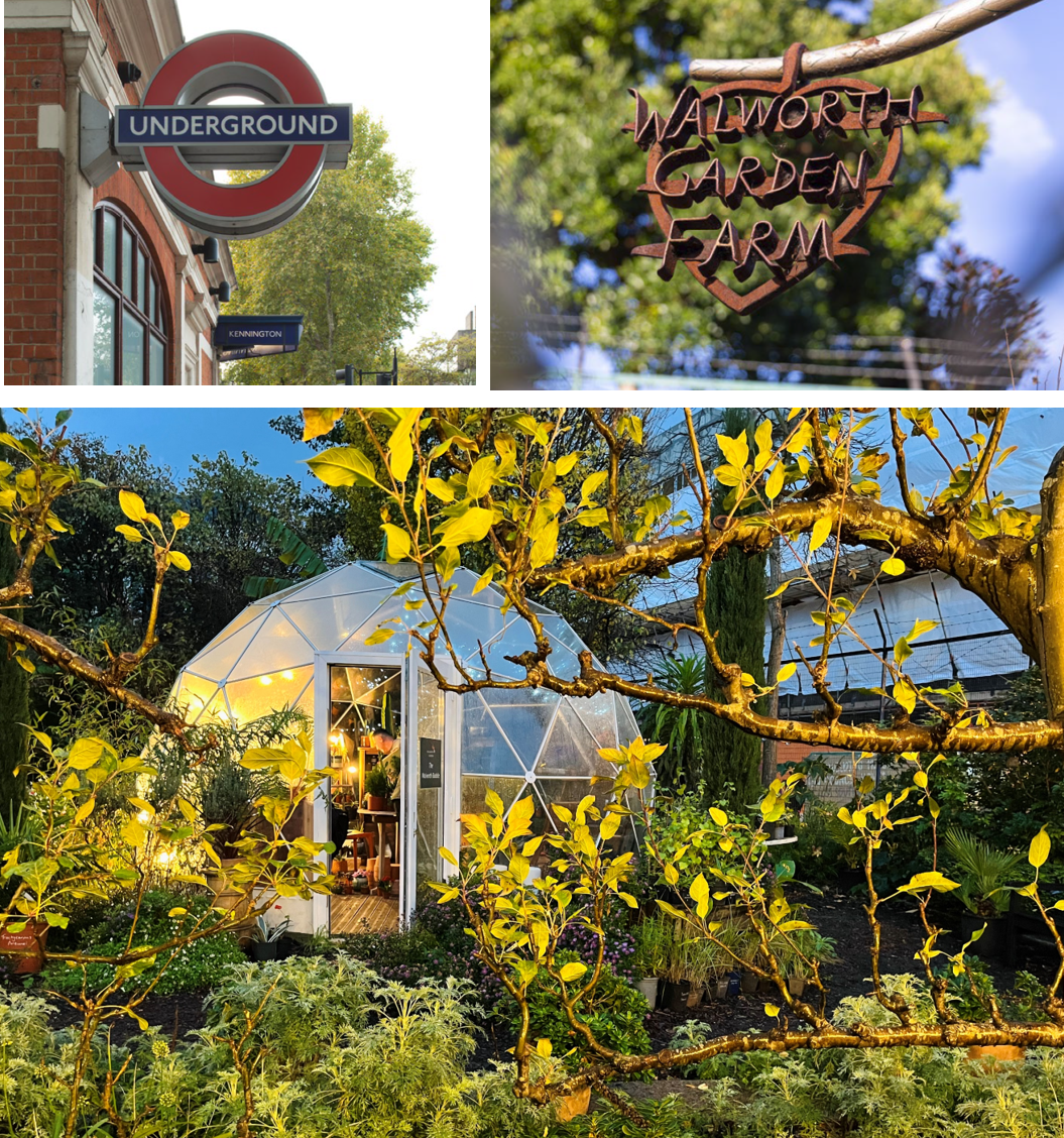 Lansha Group - UK Real Estate, UK Property Agency | One stop shop for buying and purchasing properties in the UK