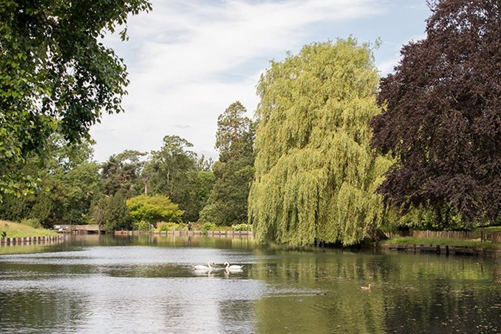 伦敦·萨顿米尔庄园 New Mill Quarter 项目配套