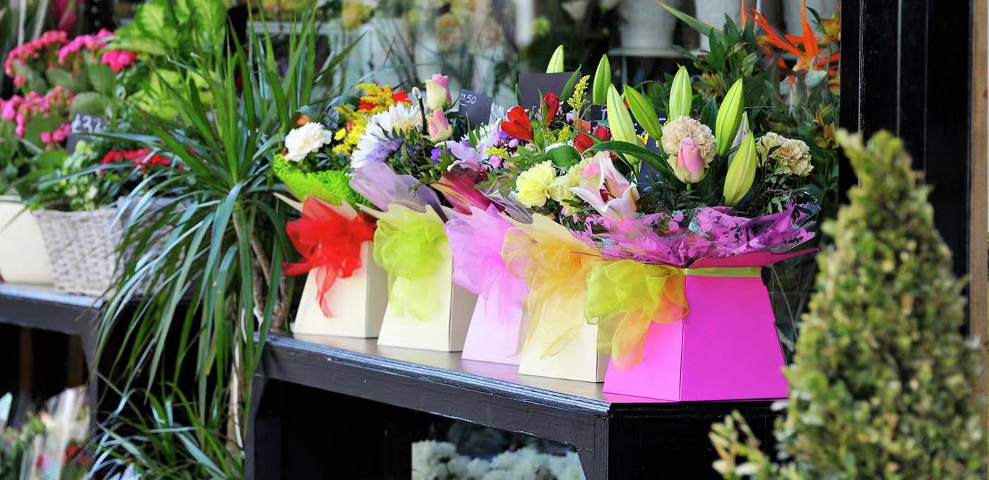 藍莎集團 - 英國樓盤、英國物業代理 | 英國買樓置業一站式服務