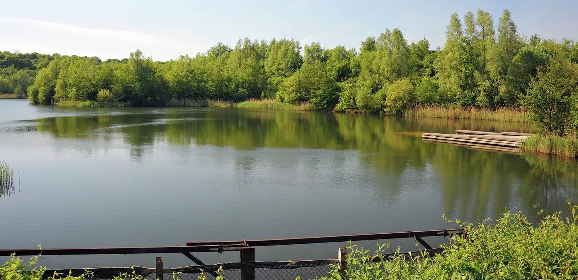 藍莎集團 - 英國樓盤、英國物業代理 | 英國買樓置業一站式服務